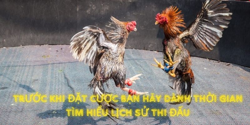 Trước khi đặt cược bạn hãy dành thời gian tìm hiểu lịch sử thi đấu